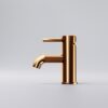 100 seeria valamusegisti, Rose Gold